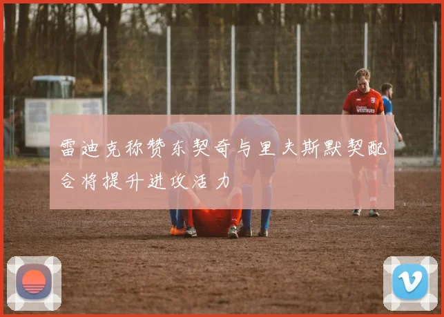雷迪克称赞东契奇与里夫斯默契配合将提升进攻活力