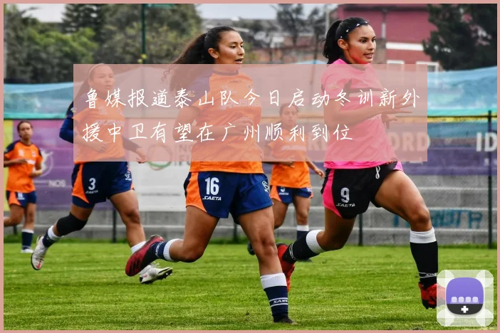 鲁媒报道泰山队今日启动冬训新外援中卫有望在广州顺利到位