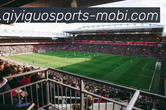 奇异果体育全站App